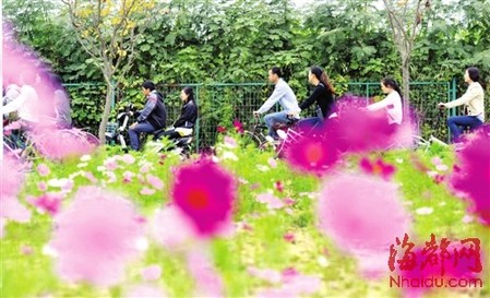 喜迎黨的十八大 80萬盆花姹紫嫣紅扮靚榕城