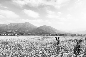 今年6個旅游同城化項(xiàng)目穩(wěn)步推進(jìn) 一張卡游遍廈漳泉