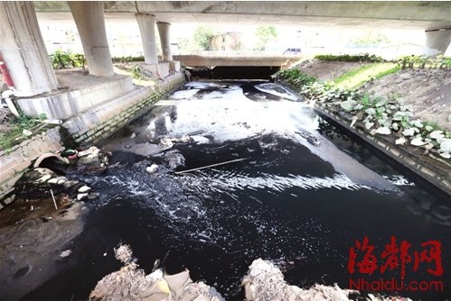 金山流花溪被渣土截斷 中下游河道塞滿了水浮蓮和垃圾