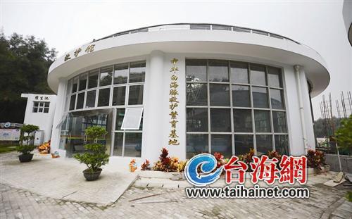 廈門獲準人工繁育白海豚 預計投入將超過1000萬元