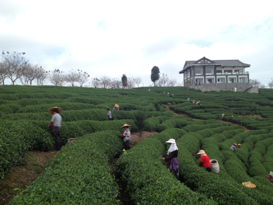 漳平臺灣農民創業園：臺緣山莊旅游綜合體啟動
