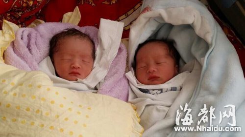 福州最個性龍鳳胎名：男娃林志穎 女娃林志玲