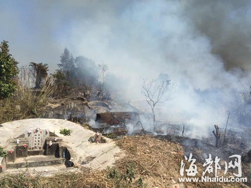 清明臨近山林火警頻發 文明祭掃須戒“七宗罪”