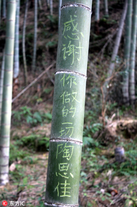 廣東連山推出“刻字林”讓游客愛刻就刻