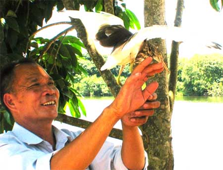 廣西那蘭有個“白鷺村” 愛鳥護鳥上演人鳥和諧