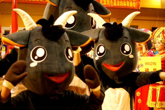 南寧市第十屆少數民族傳統體育運動會馬山縣舉行