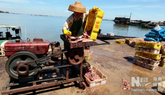 海南養殖漁排：漁民致富的風景