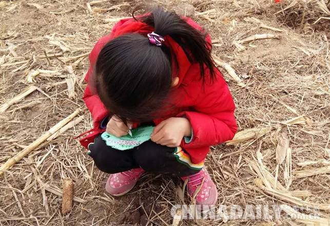 3.12植樹節環保親子游 為愛添綠共筑美麗家園