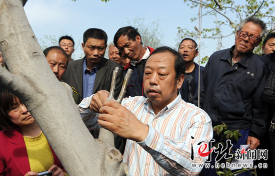 太行山作證——追記河北農業大學教授李保國