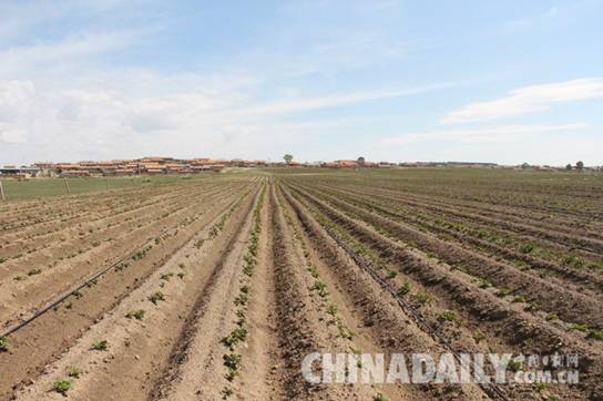 河北強(qiáng)化土地管理 推進(jìn)土地節(jié)約集約利用