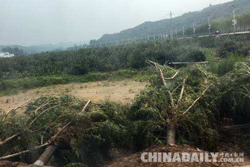 河北省企業(yè)社會(huì)責(zé)任促進(jìn)會(huì)籌20萬(wàn)元救災(zāi)物資赴邢臺(tái)災(zāi)區(qū)