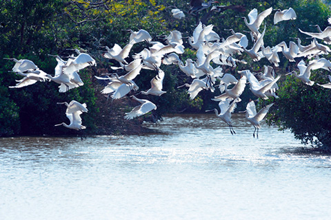 不一樣的亞洲國際都會——香港之優質生活篇