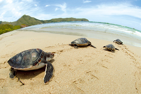 不一樣的亞洲國際都會——香港之優(yōu)質(zhì)生活篇