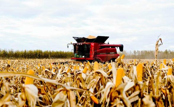 “糧倉”黑龍江打造“綠色農業”確保食品安全