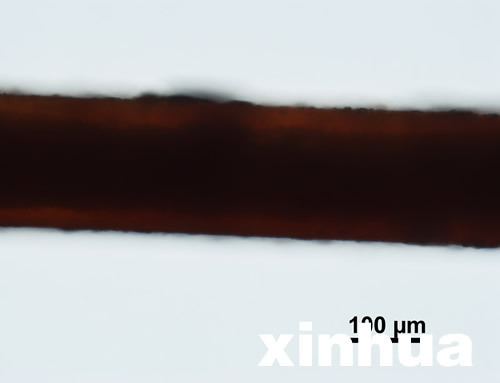 專家稱神農(nóng)架野人不存在 野人紅毛皆是偽造