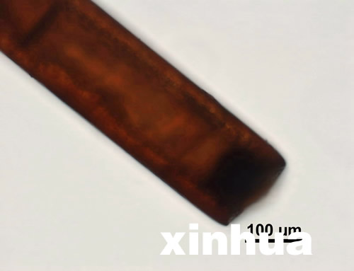 專家稱神農(nóng)架野人不存在 野人紅毛皆是偽造