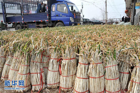 平民大蔥價(jià)格暴漲躋身