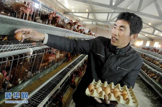 “土雞蛋”穿外衣賣高價(jià) 炒概念消費(fèi)者霧里看花