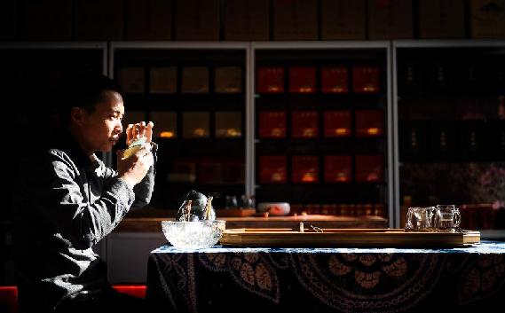 茶博會上過“茶癮”