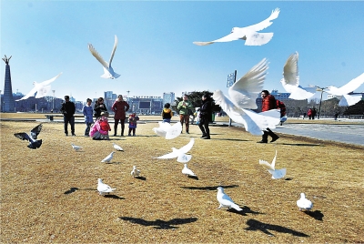 大地回春 市民紛紛走出戶外感受春的氣息