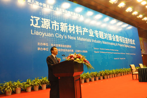 新材料成為重點支柱產業