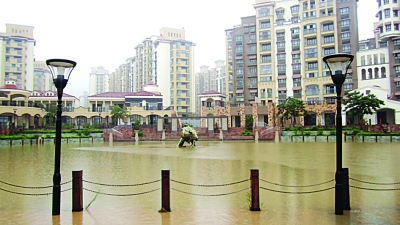 居民家中游來(lái)5斤重大魚(yú) 南京江北這場(chǎng)大雨太意外了