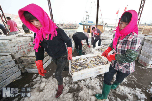 贛榆：滿載而歸進(jìn)港休漁