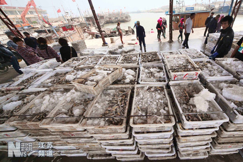 贛榆：滿載而歸進(jìn)港休漁