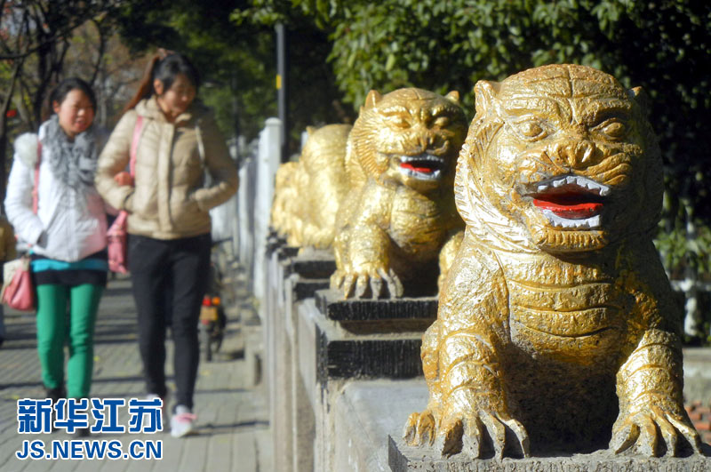 蘇州街頭驚現(xiàn)“土豪金”石獅子