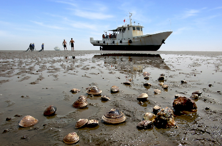 七月初一游渤海灣第一灘