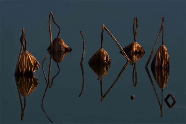 黃可華：藝術家的靈魂 詩一般的創意