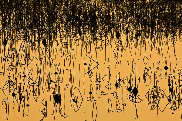 黃可華：藝術(shù)家的靈魂 詩(shī)一般的創(chuàng)意