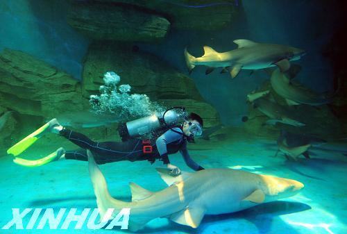 泉城海洋極地世界開(kāi)館