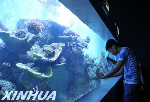 泉城海洋極地世界開館