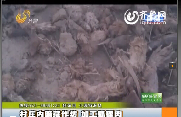 臨沂：村莊內暗藏小作坊 日加工死狐貍肉上百噸