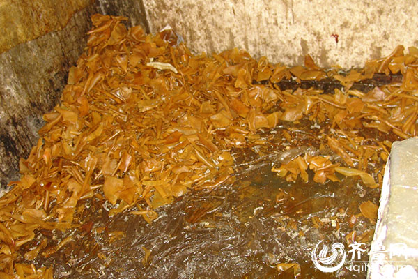 泰安檢察官揭秘“毒皮肚”案審判過程：制售者險逃法網(wǎng)