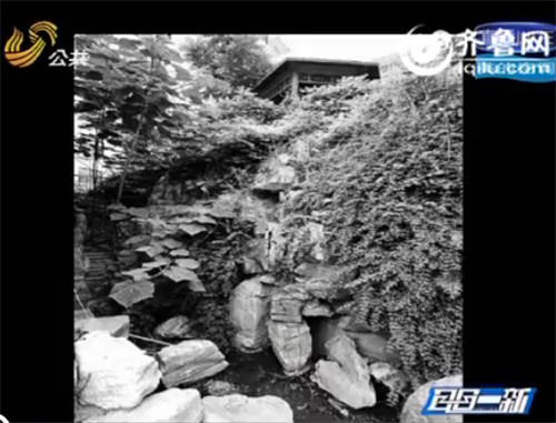 探訪(fǎng)濟(jì)南老建筑——80年歷史的民國(guó)別墅“金氏公館”