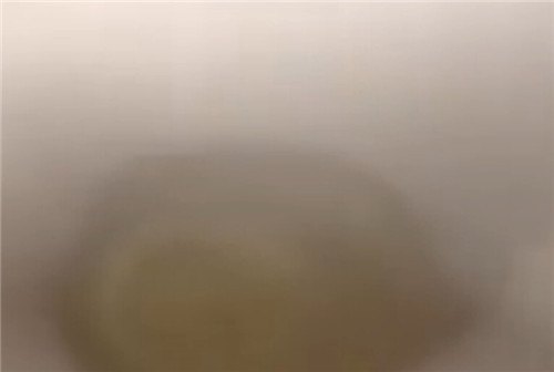 聊城一村民家中母雞變異成公雞 兼顧打鳴和下蛋