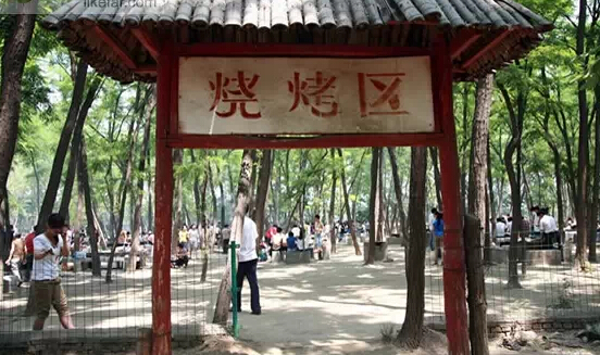 濟南春游最強攻略 野外燒烤賞花約起來！