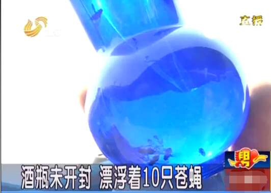 濰坊：洋河經典酒里漂浮10只蒼蠅 酒瓶并未開封