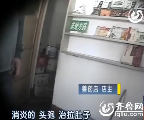 山東：養豬濫用抗生素調查 小豬出生3天注射土霉素