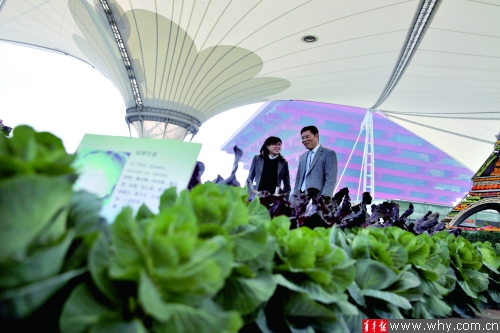 世博軸上出現“都市微型農莊” 預計今年5月對市民開放