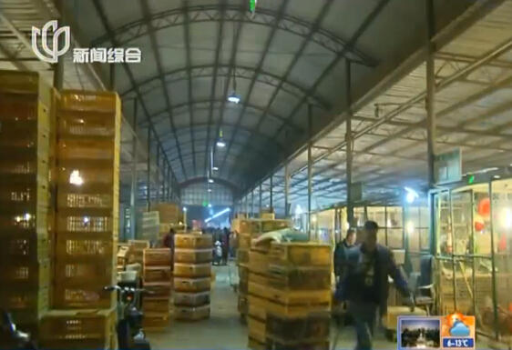 上海再現感染H7N9病毒病例 發病率與活禽交易有關