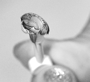 網傳美瞳片熔化致盲 經實驗證明傳言不靠譜