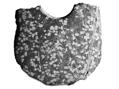 中國最早原始文字引熱議 被指是刻畫 非漢字前身