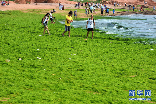 北方多個海濱浴場安全被疑 五大殺手藏身（組圖）