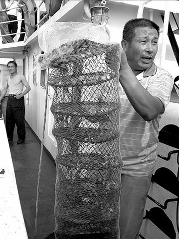 中海油漏油疑致河北海產損失3.5億 調查無果