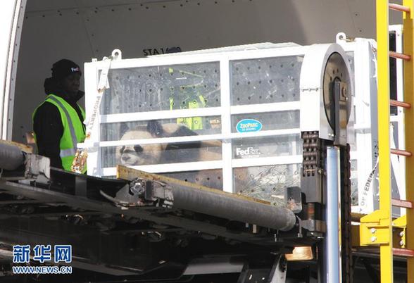 中國贈法大熊貓