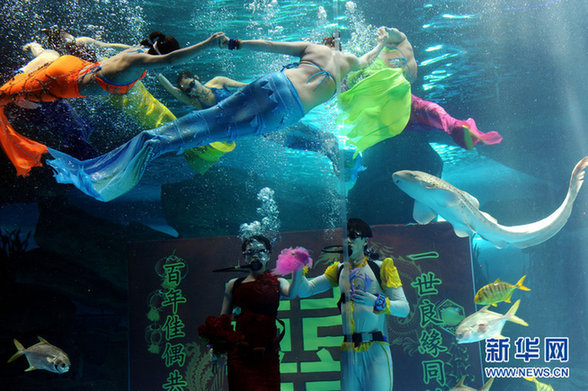 濟南：海底婚禮 見證別樣的“海枯石爛”