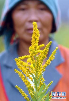 高清大圖：不只是食人魚 警惕“外來物種入侵”